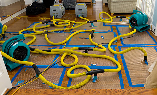 Professional Water Damage Repair technician working in Ecleto, TX